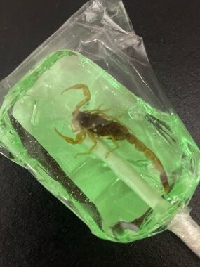 *Expired Decor Item - Green Apple Scorpion Lollipop with Real Scorpion*